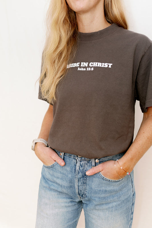 Abide in Christ