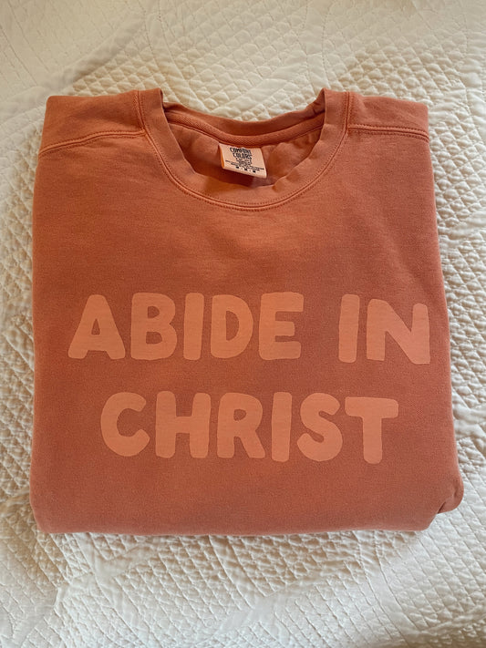 Abide in Christ